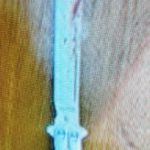 balisong