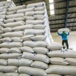 PALAY STOCK